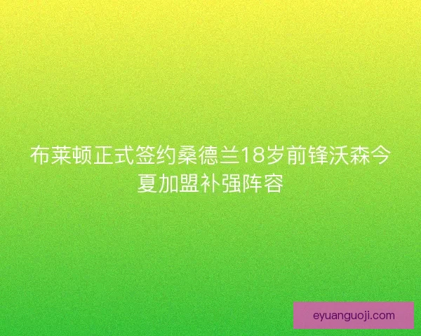 布莱顿正式签约桑德兰18岁前锋沃森今夏加盟补强阵容