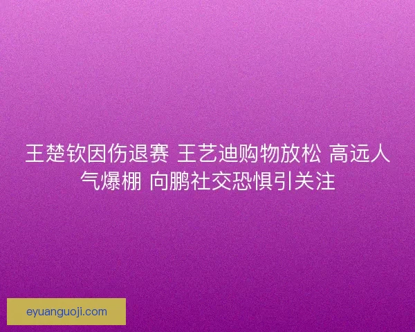 王楚钦因伤退赛 王艺迪购物放松 高远人气爆棚 向鹏社交恐惧引关注