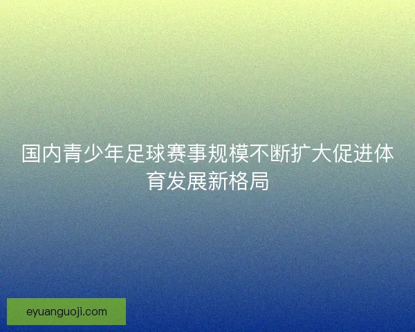 国内青少年足球赛事规模不断扩大促进体育发展新格局