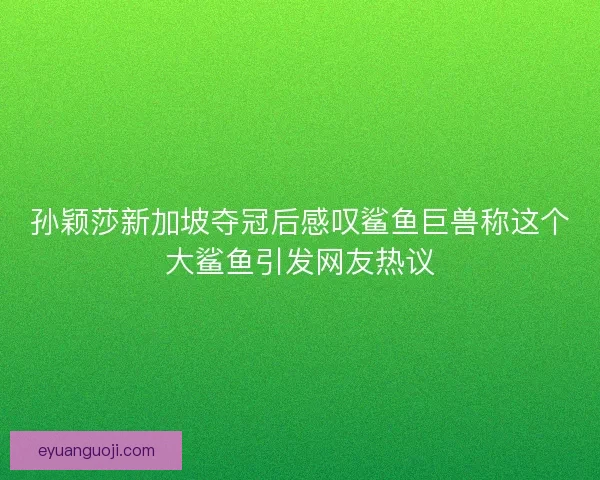 孙颖莎新加坡夺冠后感叹鲨鱼巨兽称这个大鲨鱼引发网友热议