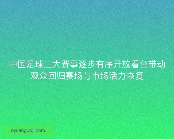 中国足球三大赛事逐步有序开放看台带动观众回归赛场与市场活力恢复